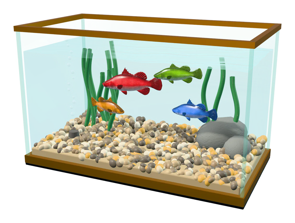 A glass tank with fish